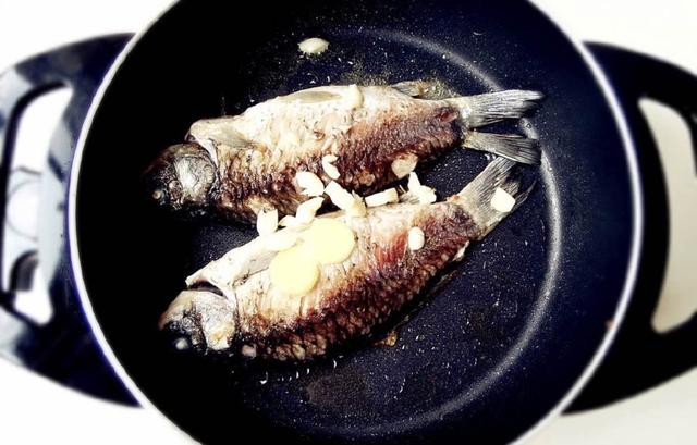 怎么样才能把鱼汤炖成奶白色,鱼汤怎么熬才是奶白色好喝视频