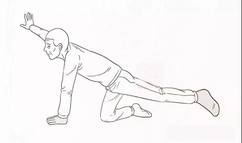 脑损伤康复训练视频,脑出血偏瘫康复训练器材