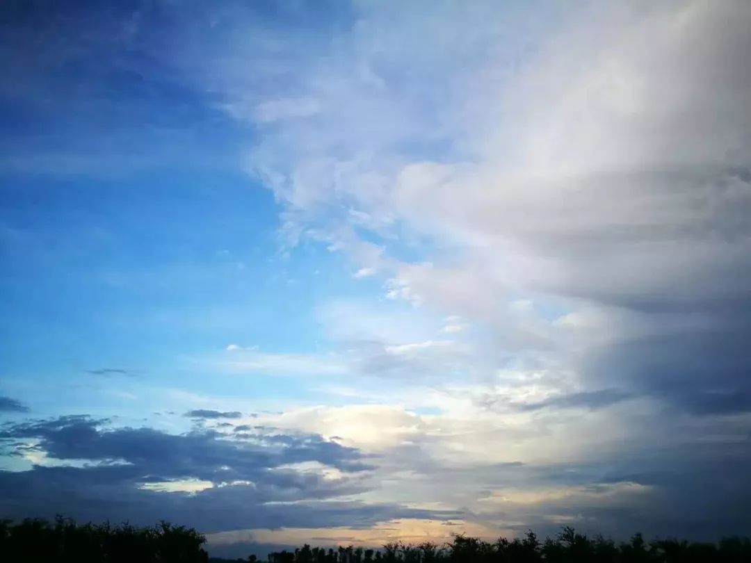 日本陶器底款有哪些 (日本龙谷窑陶器)