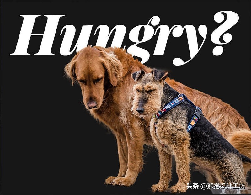 教你如何快速学会抠图,常见的抠图技法与适用情况