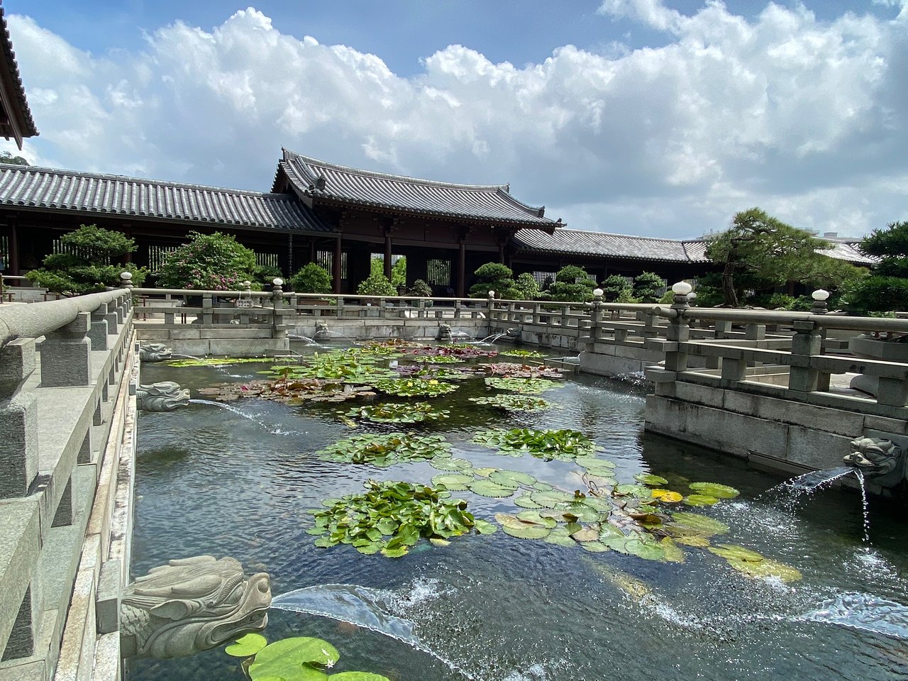 香港志莲净苑地图,香港志莲净苑好玩吗