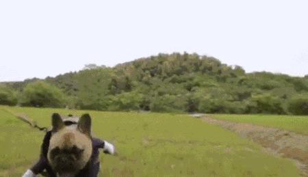 五一南京吃喝攻略,南京吃喝玩乐一天的攻略