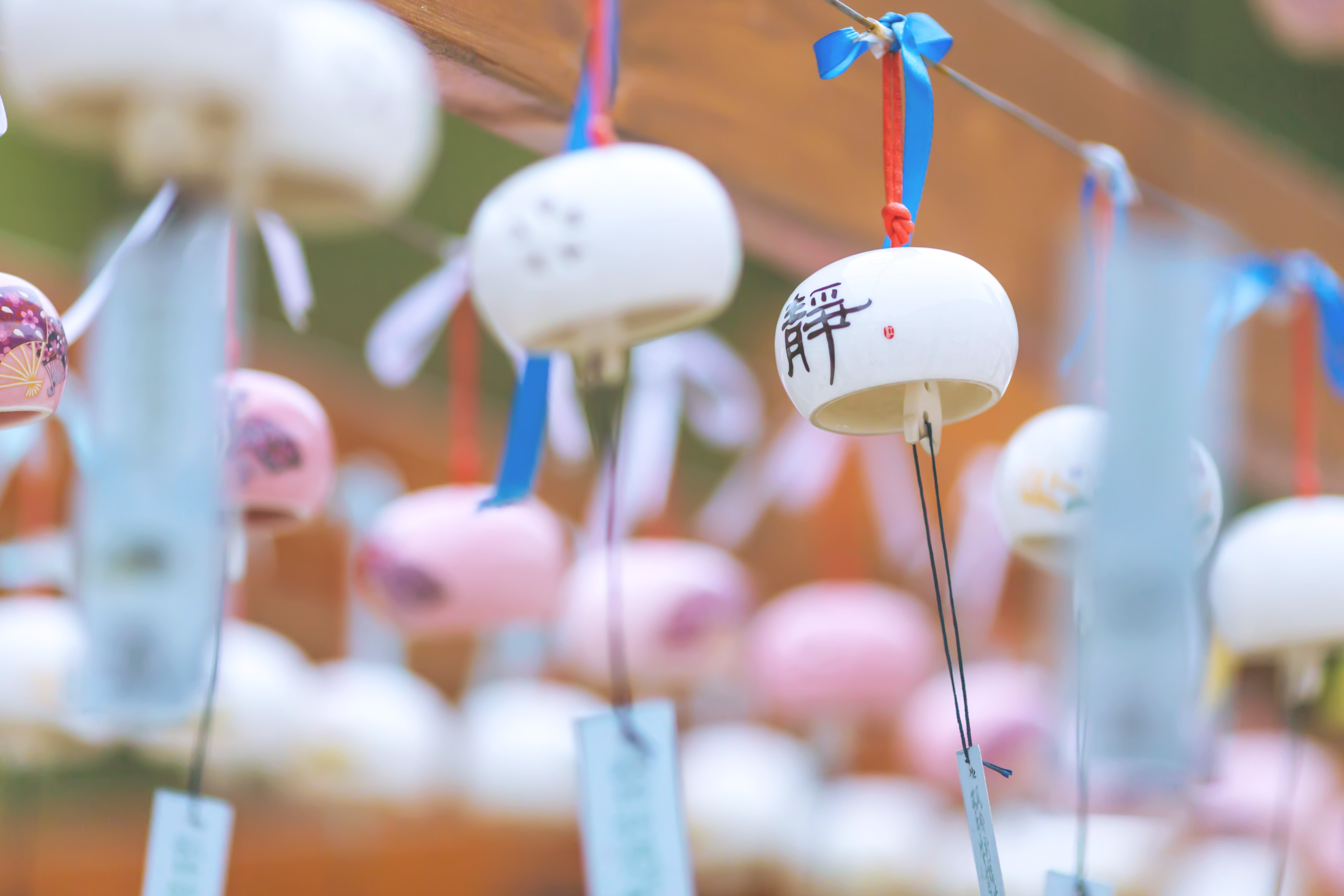 释迦牟尼舍利子头盖骨,释迦牟尼的真身头盖骨