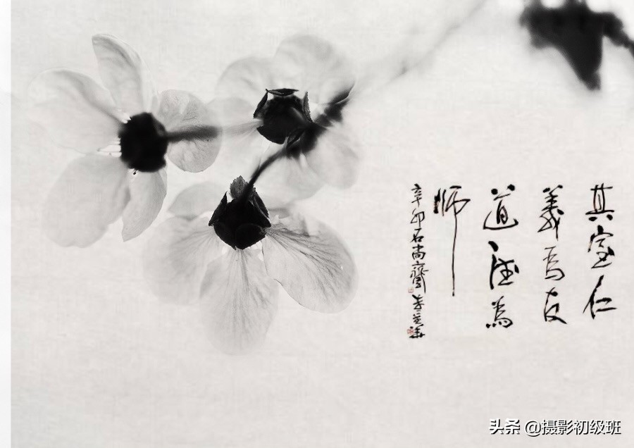 如何把照片p成水墨风格,中国水墨风格摄影