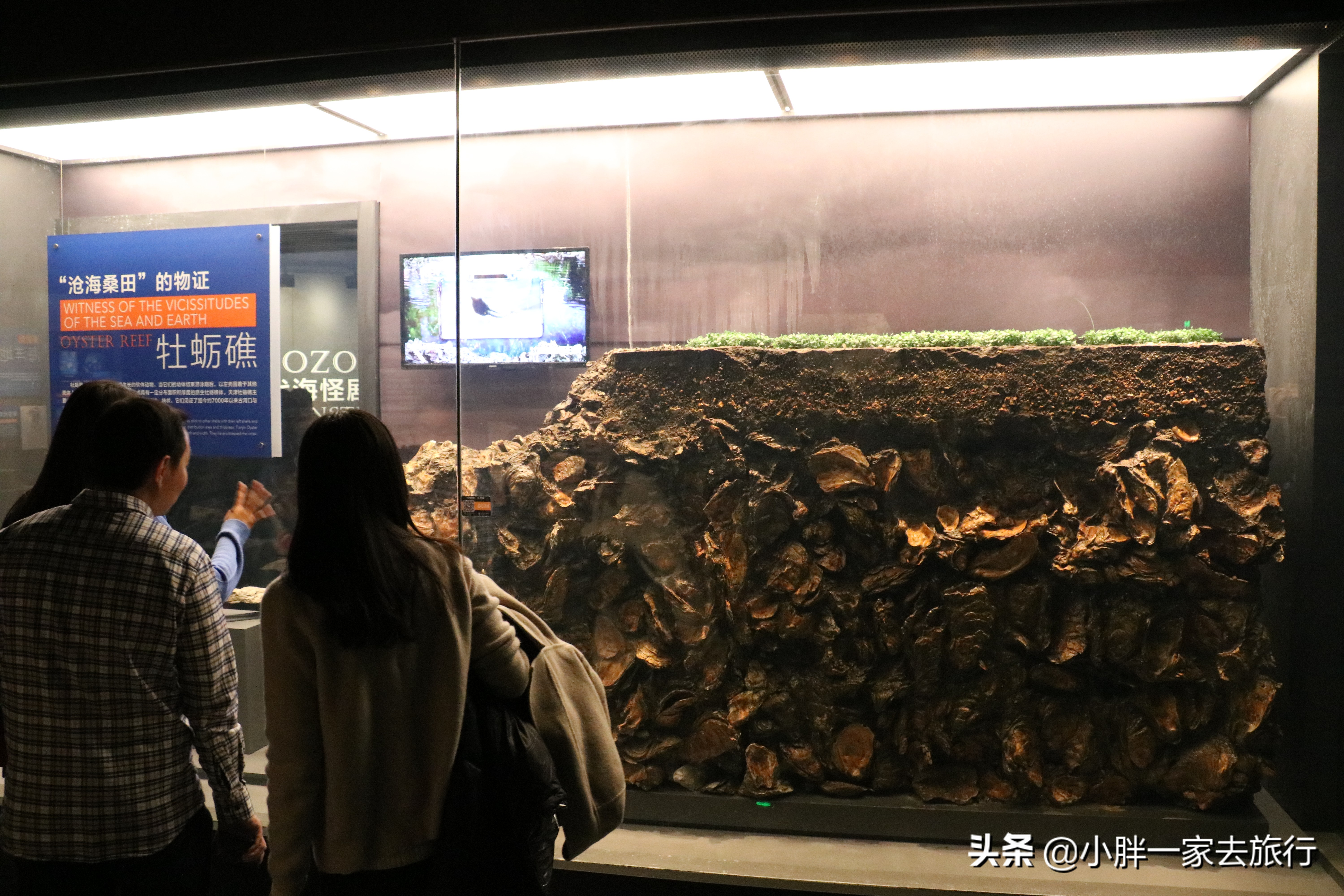 最大的北京海洋博物馆,海上故宫国家海洋博物馆