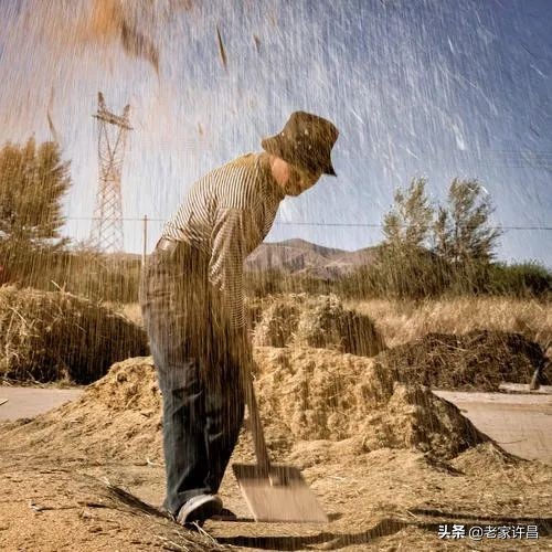 已失传的绝活有哪些,那些快要失传的非遗绝技