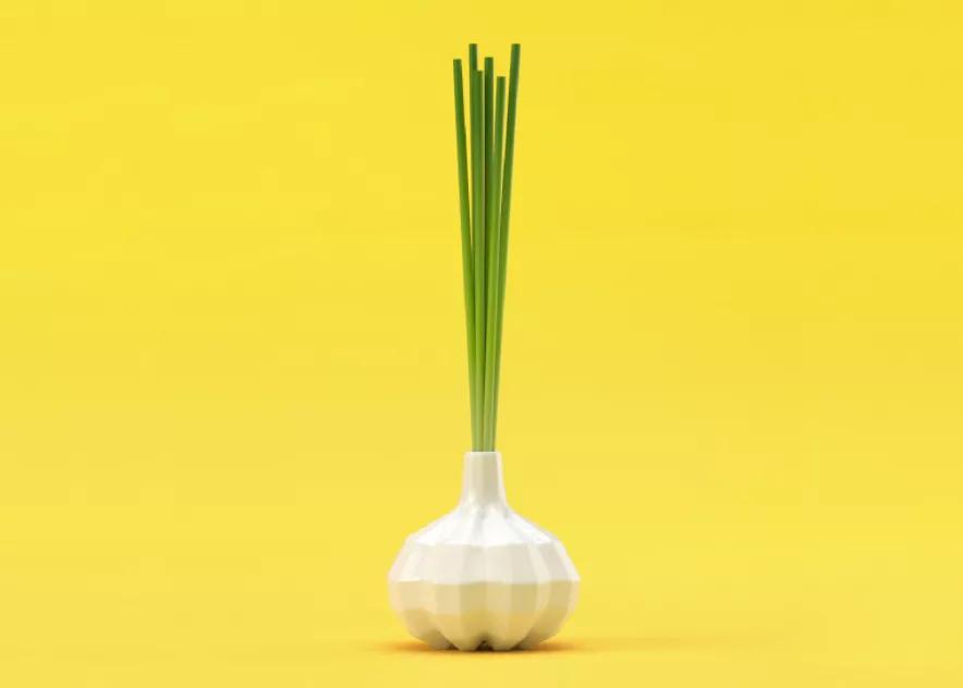 日本一家只卖创意的超市火了,在国内很火的日本超市