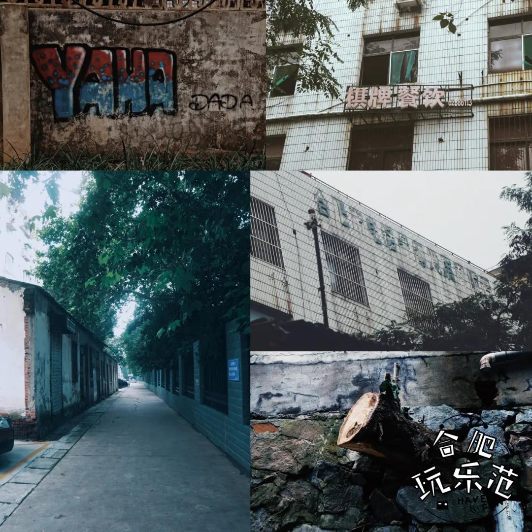 观银河,看银河听风吟的视频