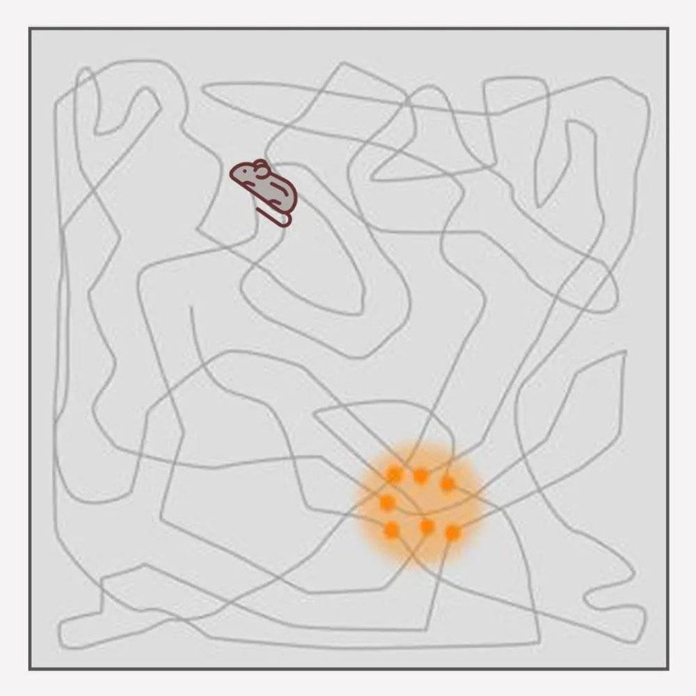 人类大脑导航,人类大脑的思维信号可以捕捉到吗