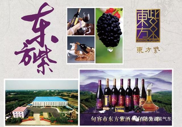 春城*月天五**，醉美桑果园