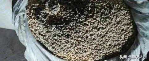 水样粪便、粪便不成形，都是肠炎惹的祸，纯中药组方帮您解决