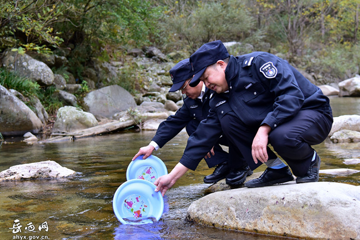 2021澶ч驳澧炴畺鏀炬祦宸ヤ綔鎬荤粨,澶ч驳澧炴畺鏀炬祦娲诲姩