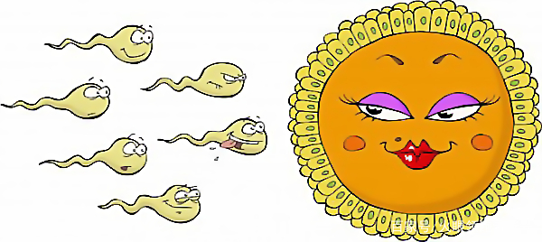 用润滑剂，真的能让爱爱体验更好吗？