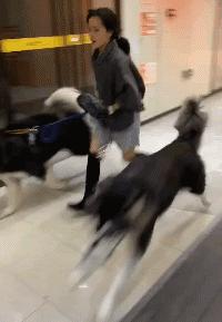 “我是塞翁，认识你这头千里马很高兴”哈哈哈，这届直男太逗了