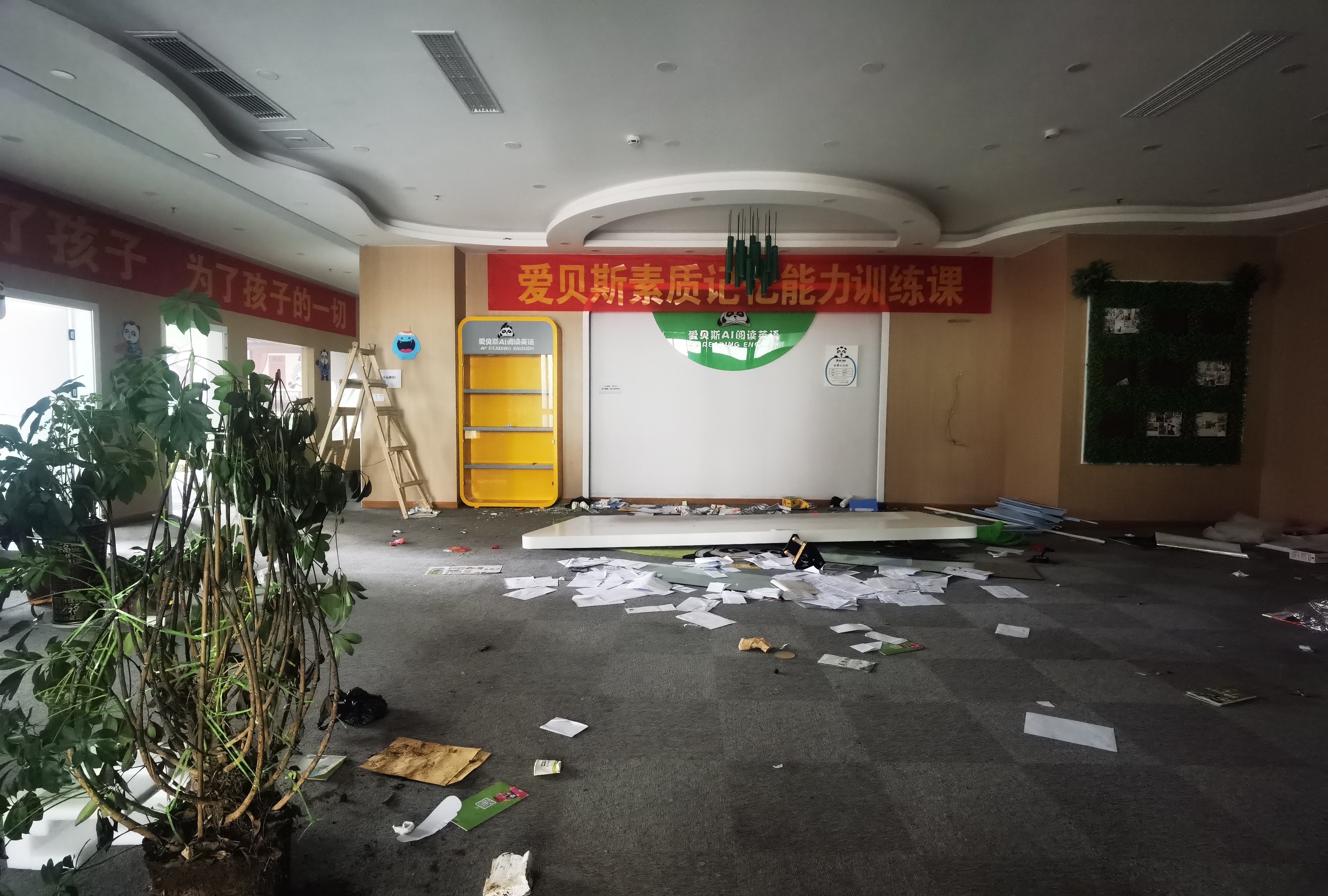 爱贝斯培训机构现状,爱贝斯ai英语培训班是正规的吗