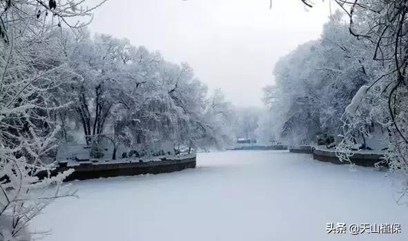 昌吉市最新城市发展规划,乌鲁木齐和昌吉是否相邻