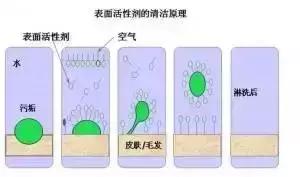 化妆品中的各种成分介绍,化妆品成分表活性成分靠后