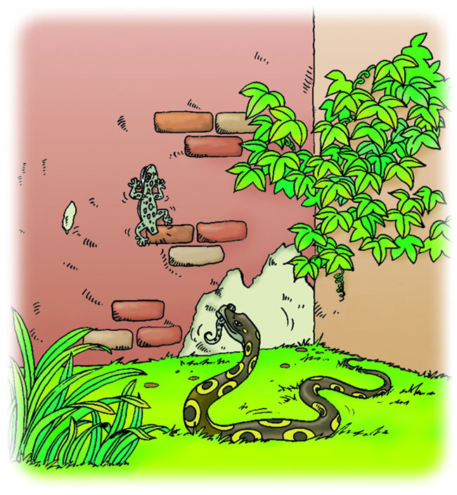 令人印象深刻的小学语文,不同年代的小学课文插图