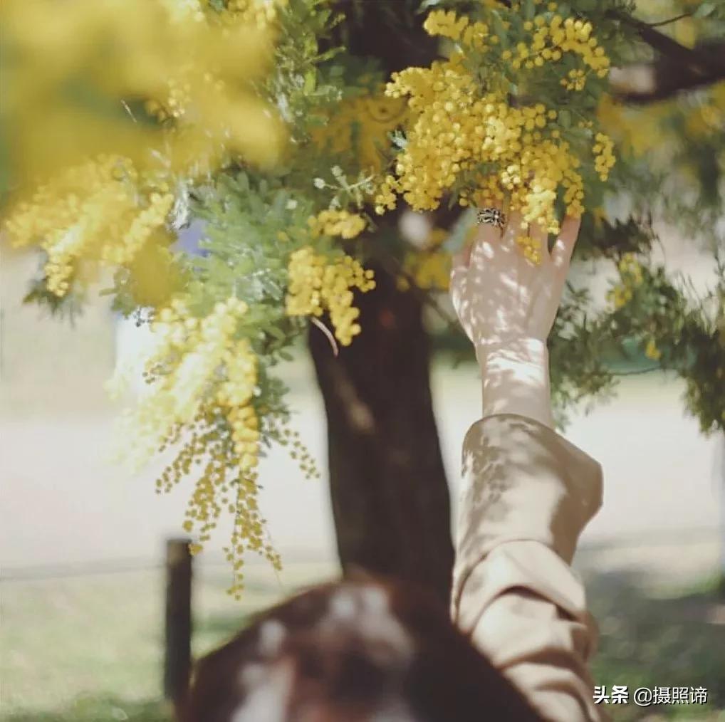 害怕镜头的人如何拍照,害怕镜头这些拍照方式瞬间拯救你