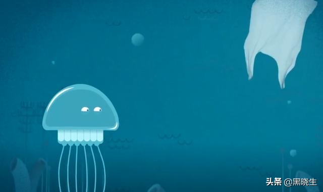 会捡垃圾的动物,动物捡垃圾的真实感受