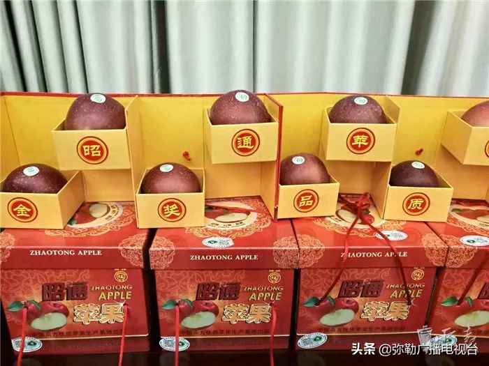 弥勒到重庆的高铁多少钱,云南省弥勒市通高铁