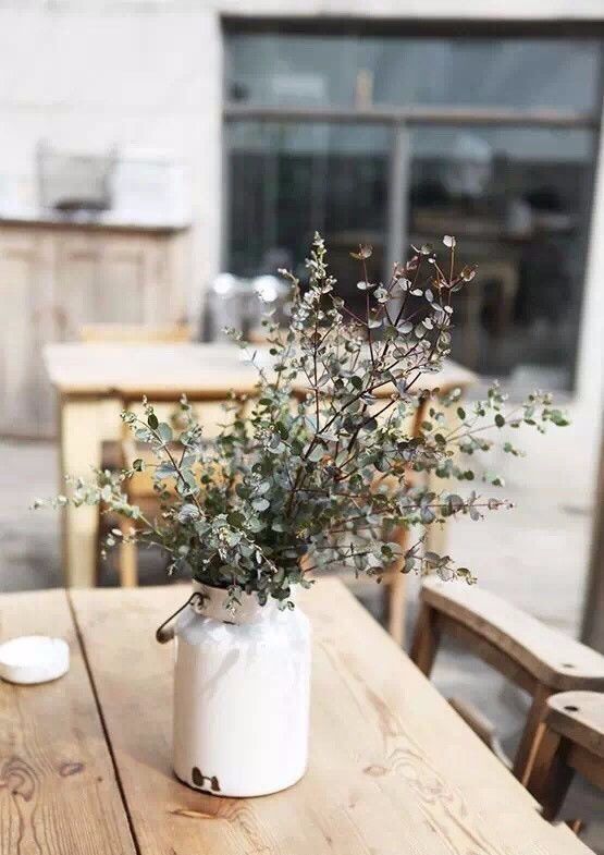 花店用的尤加利是什么品种,尤加利有几种