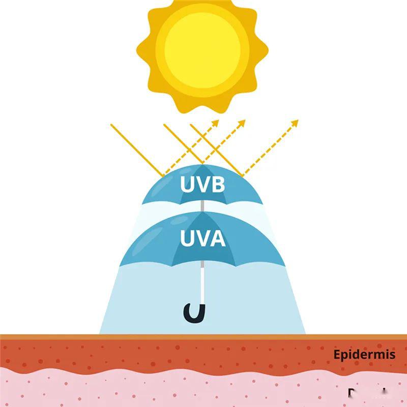在防晒的路上勤勤恳恳,在防晒前涂什么
