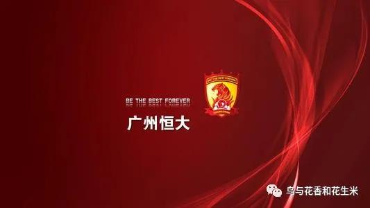 广州恒大为什么会走到现在的地步,广州恒大的冠军之路
