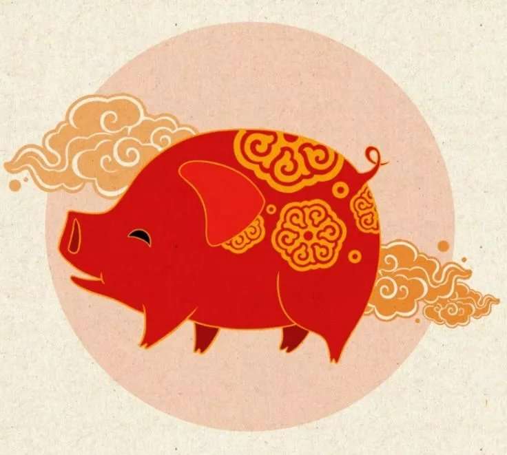 今年猪年的新年是哪一天,猪年几年一个本命年