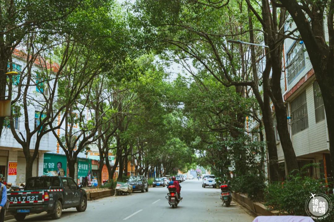 福保文化城景点,福保文化城旧址