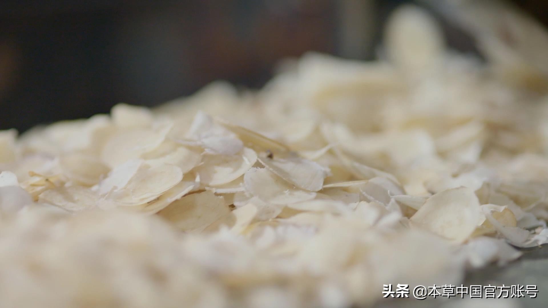 【本草百科·药知鼎——白芍】朵腴花硕,不止于美丽的外表