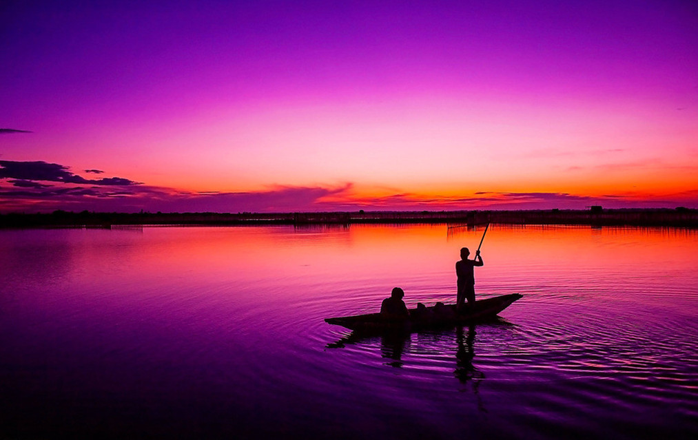 钓草鱼的黄金季,钓鲢鳙鱼的黄金季节