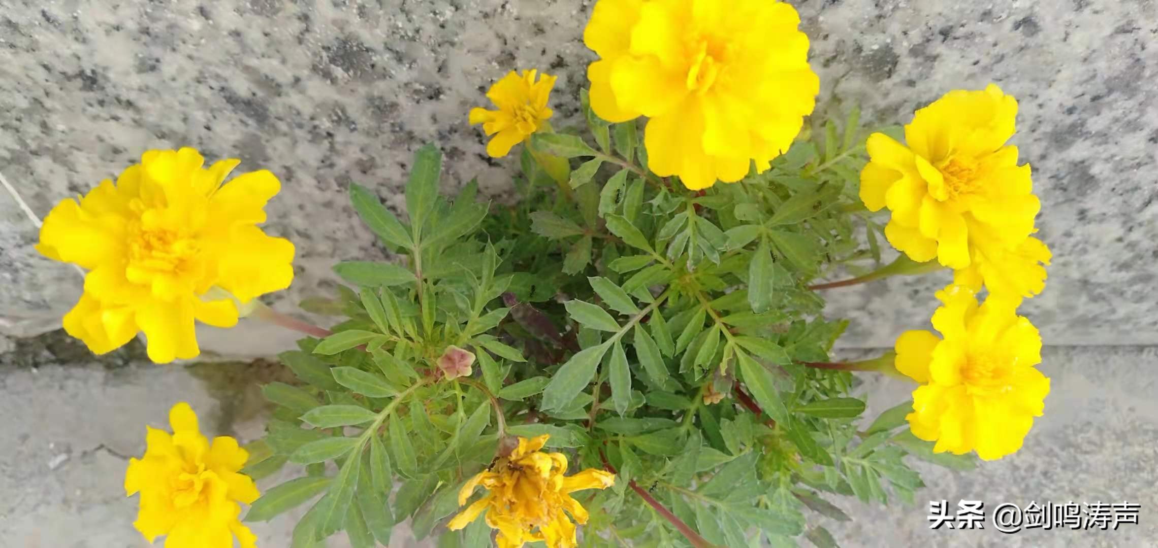 电脑刷机重装系统,电脑如何重装系统