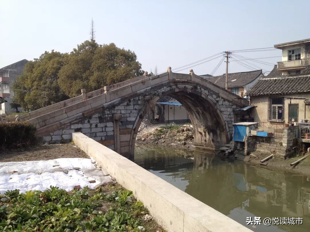 金秋赏“金”：新老照片对比金山发展老金山都不一定认得全