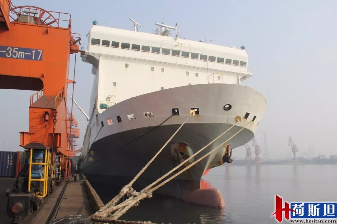 6000多头“澳妞”登陆京唐港中澳贸易即将零关税安格斯关税直降2%