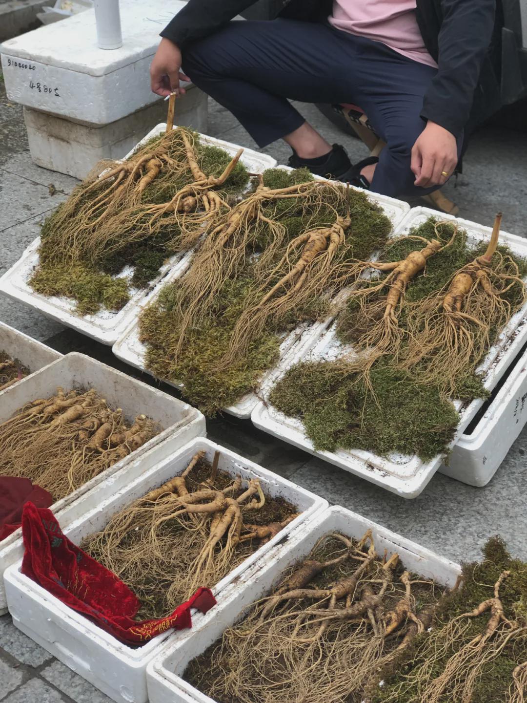 这宝藏城市怎么还没火！800块能吃一个月，没一个踩雷