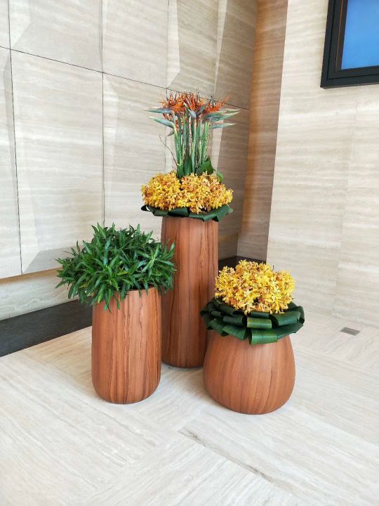 公司绿植购买租赁方案,绿植租摆服务的策划方案