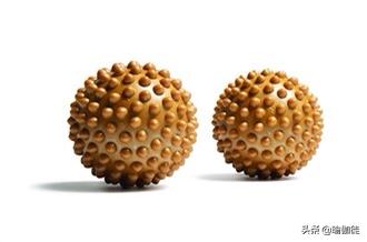 身体筋膜硬按摩可能柔软吗,为什么按摩筋膜时那么疼