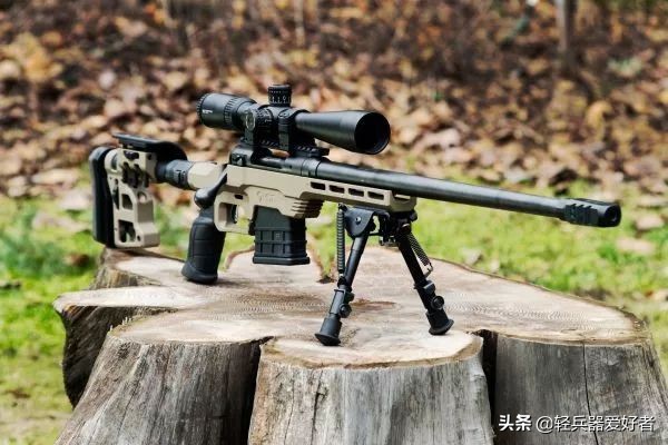 加拿大栓动步枪,mdt突击步枪