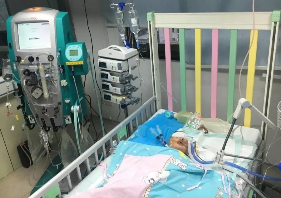 被马蜂蛰过敏性休克的急救措施,儿童被马蜂蛰了看不到毒刺