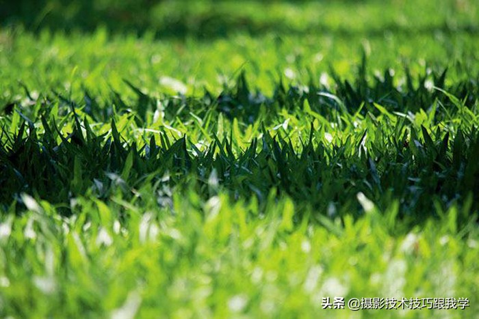 摄影中的景深有什么用,摄影景深的基础知识