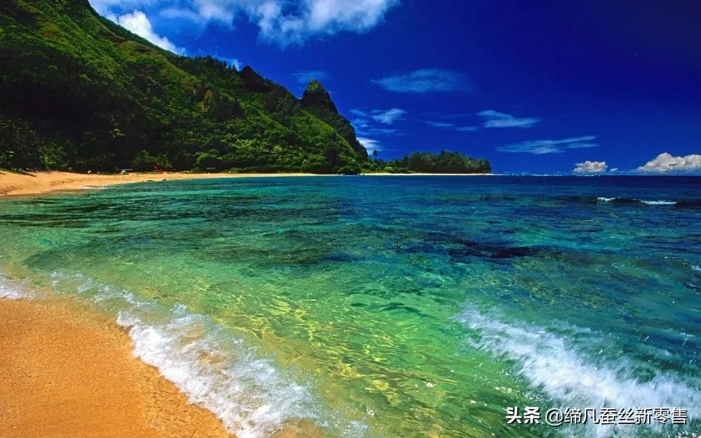 6月好物|夏天的美好，恰似你的细腻与柔情……