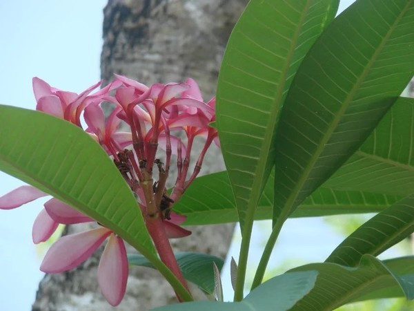 一个人在海边玩一天,一个人在海边怎么玩