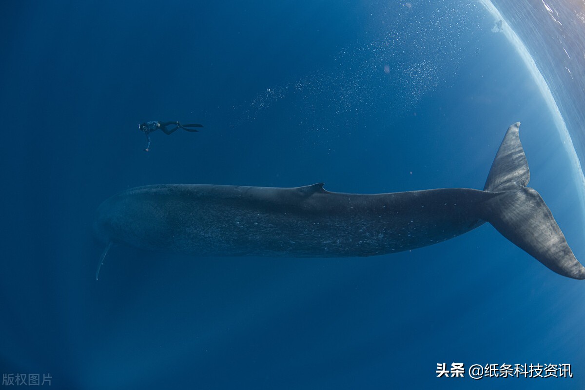 17个惊人冷知识,22个冷知识