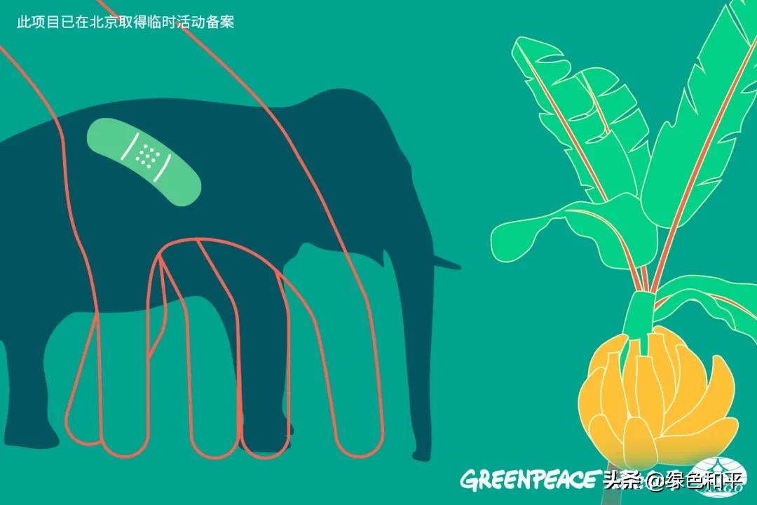 自然合伙人|“三江主人”彭建生：建一座图像喜马拉雅的藏族汉子