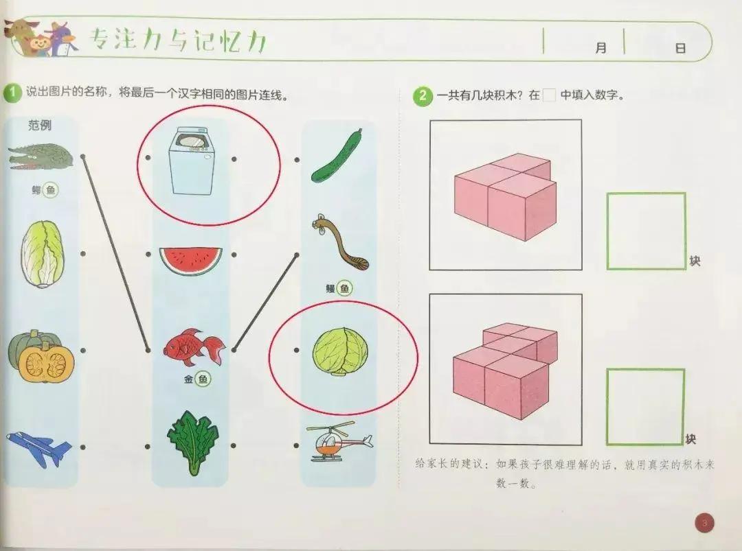 七田真全脑开发全套6册,日本正版七田真全脑课程介绍