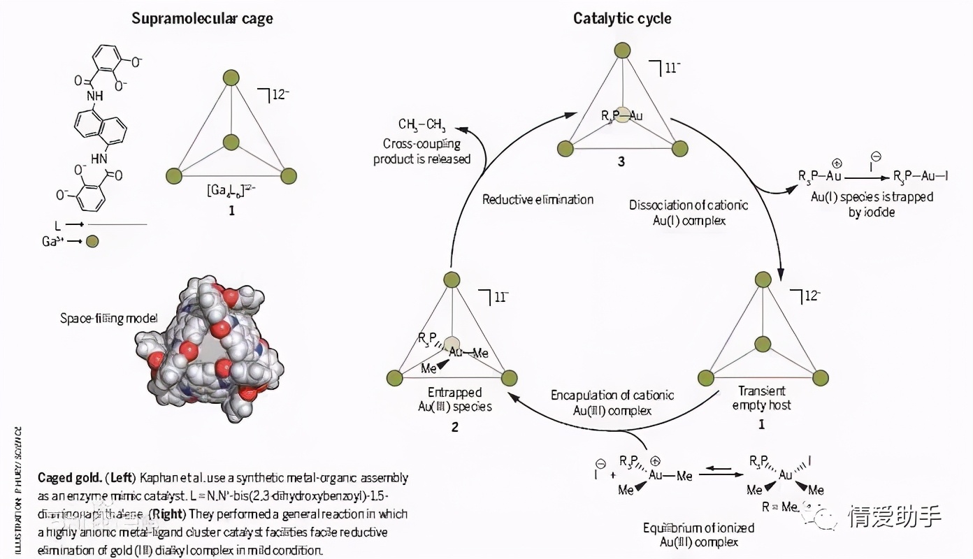 除甲醛超简单的三种方法你知道吗,除甲醛的小窍门视频