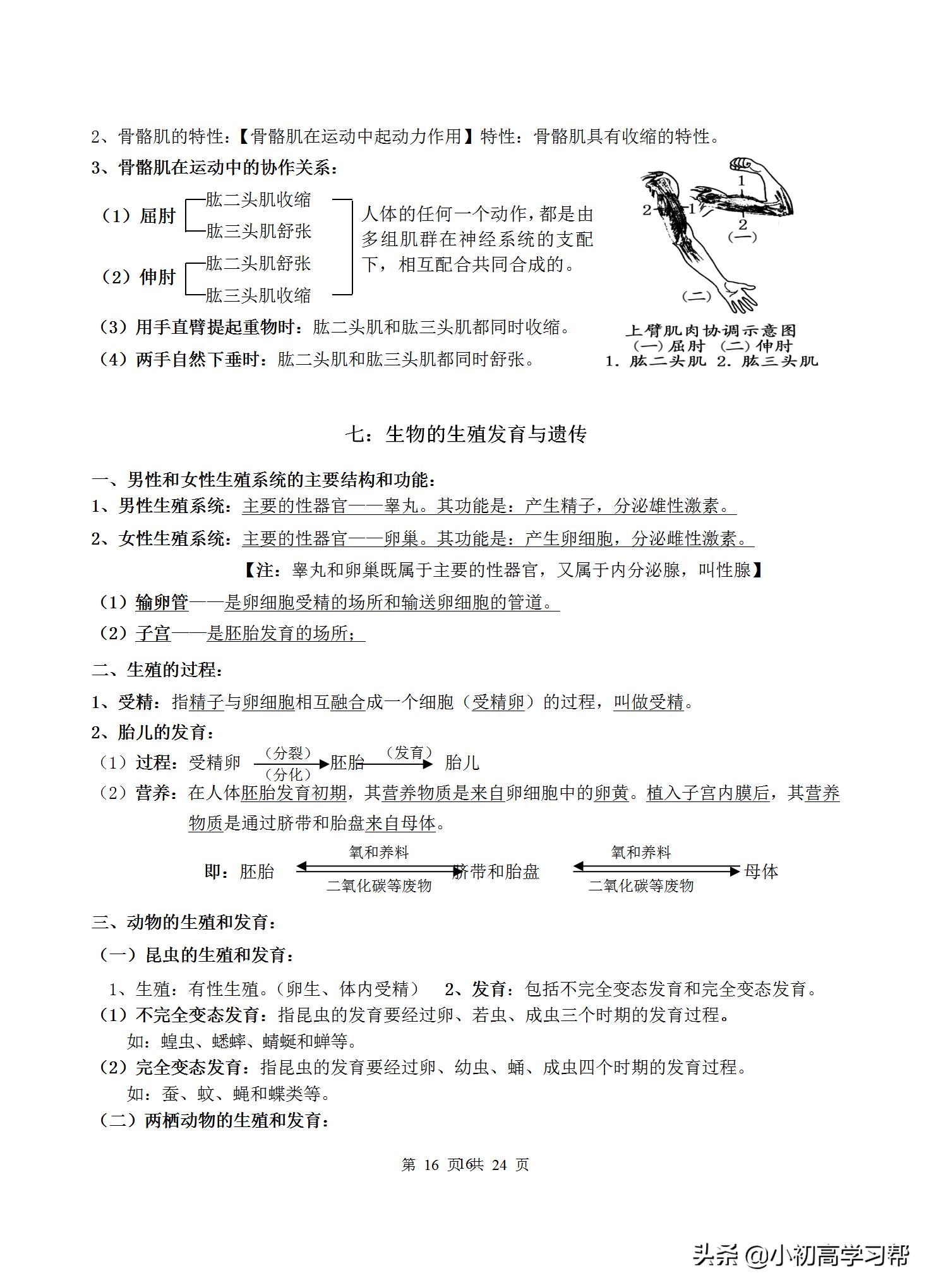 中考生物复习资料大全免费,2022中考生物必考知识点总结