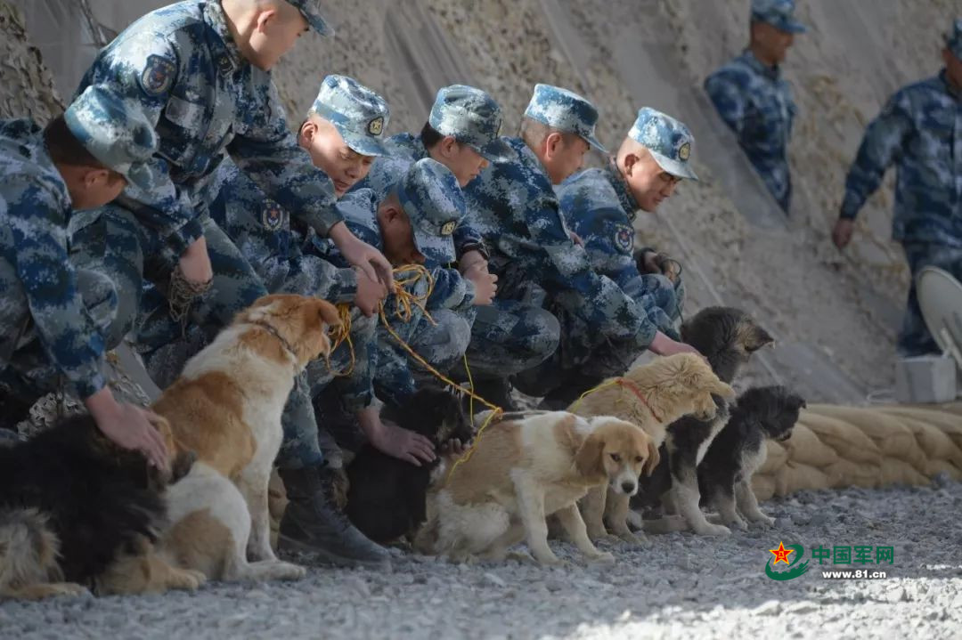 高原第一代雷达兵,高原雷达兵的真实生活视频