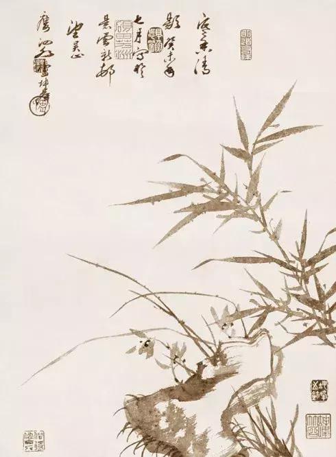 如何画兰花最好看的,君子兰花如何画